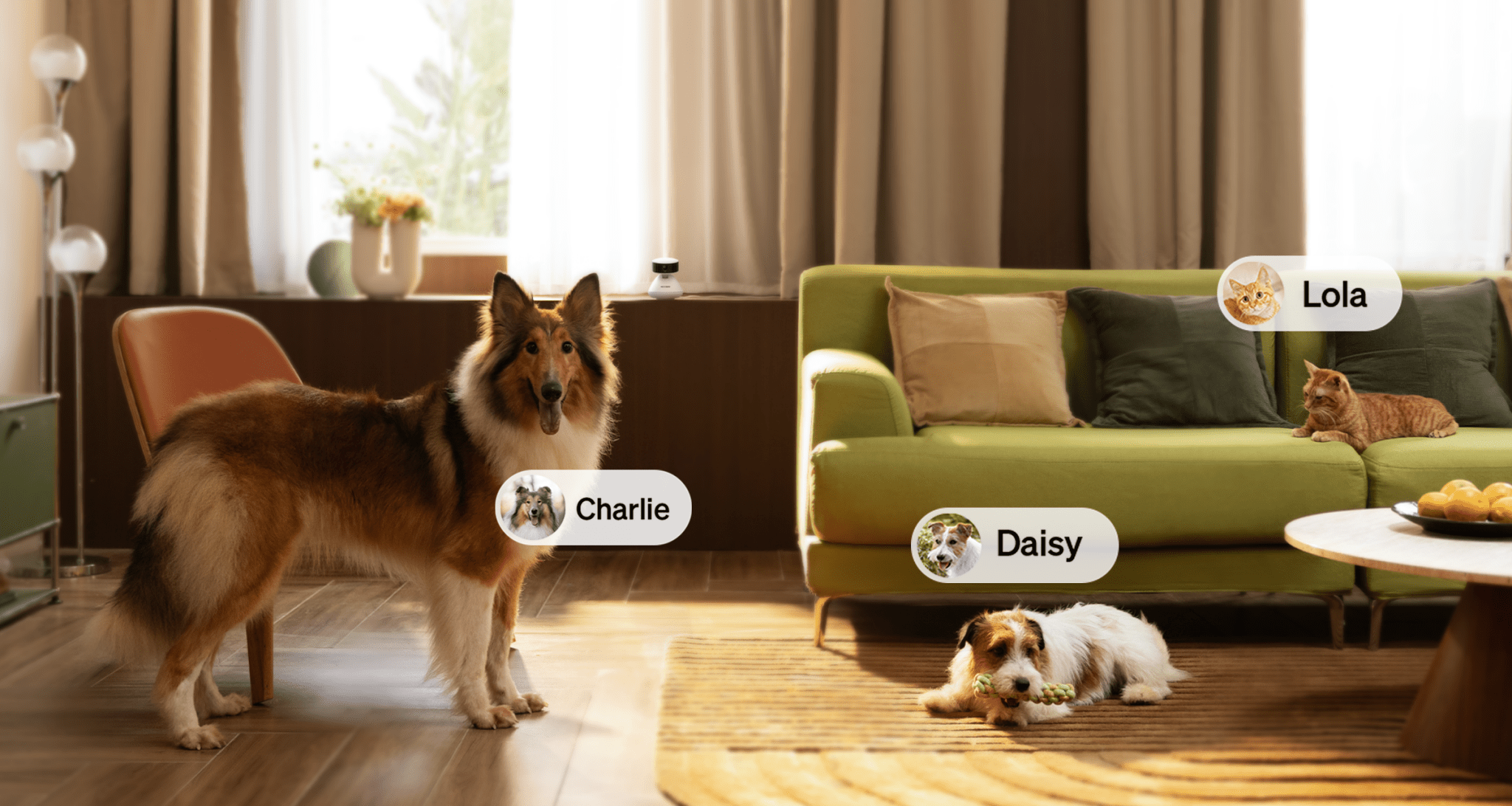 Scout Smart Home Pet Camera