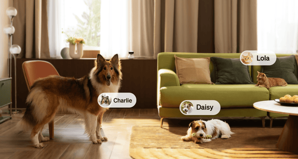 Scout Smart Home Pet Camera