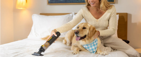 Pocket Clean Car Vacuum